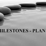 milestones plan success